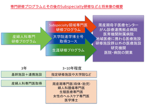 専門医制度研修プログラムとその後のSubspecialty研修などと将来像の概要