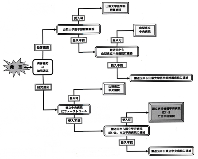 医療機関版の図