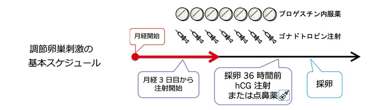 調節卵巣刺激の基本スケジュール