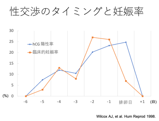 性交渉のタイミングと妊娠率