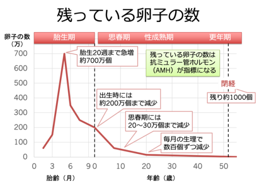 残っている卵子の数